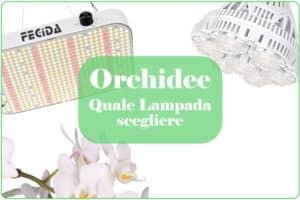 migliore lampada led per orchidee