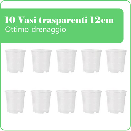 10 vasi per orchidee trasparenti misura standard 12cm