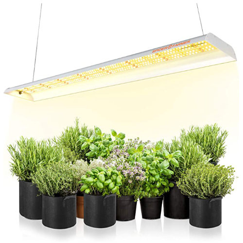 lampada da coltivazione per piante